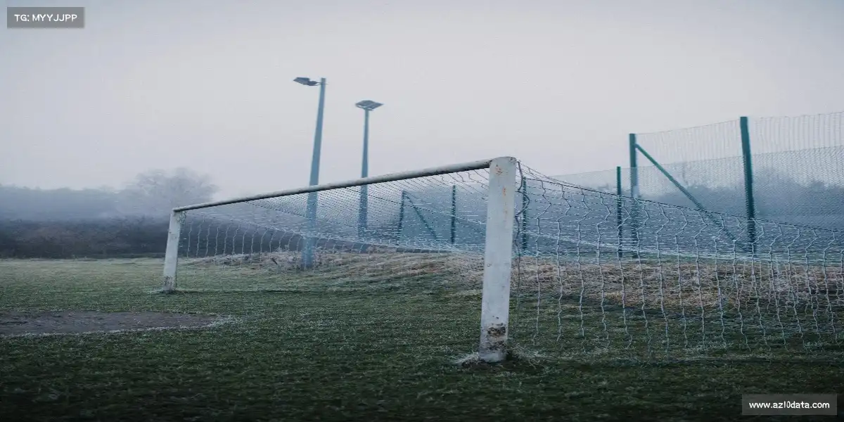 澳洲幸运10官网——🐟撑杆飞跃,鱼跃龙门!